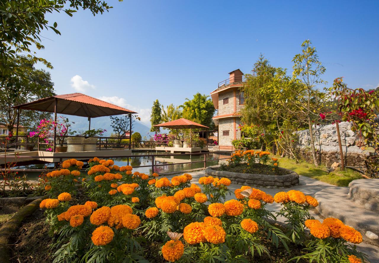 Zostel Pokhara Pansiyon Dış mekan fotoğraf